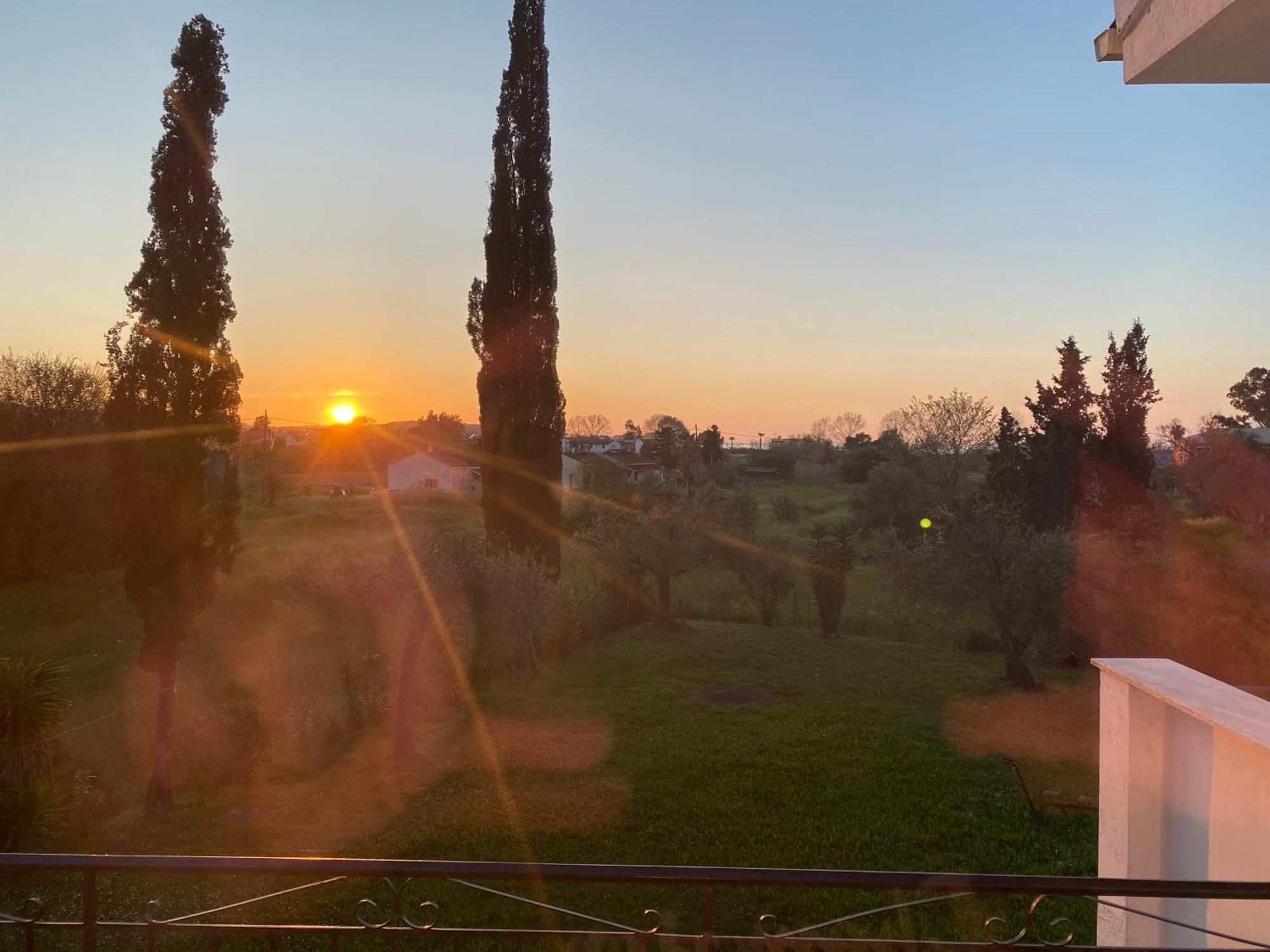Alexander Apartments Roda  Dış mekan fotoğraf