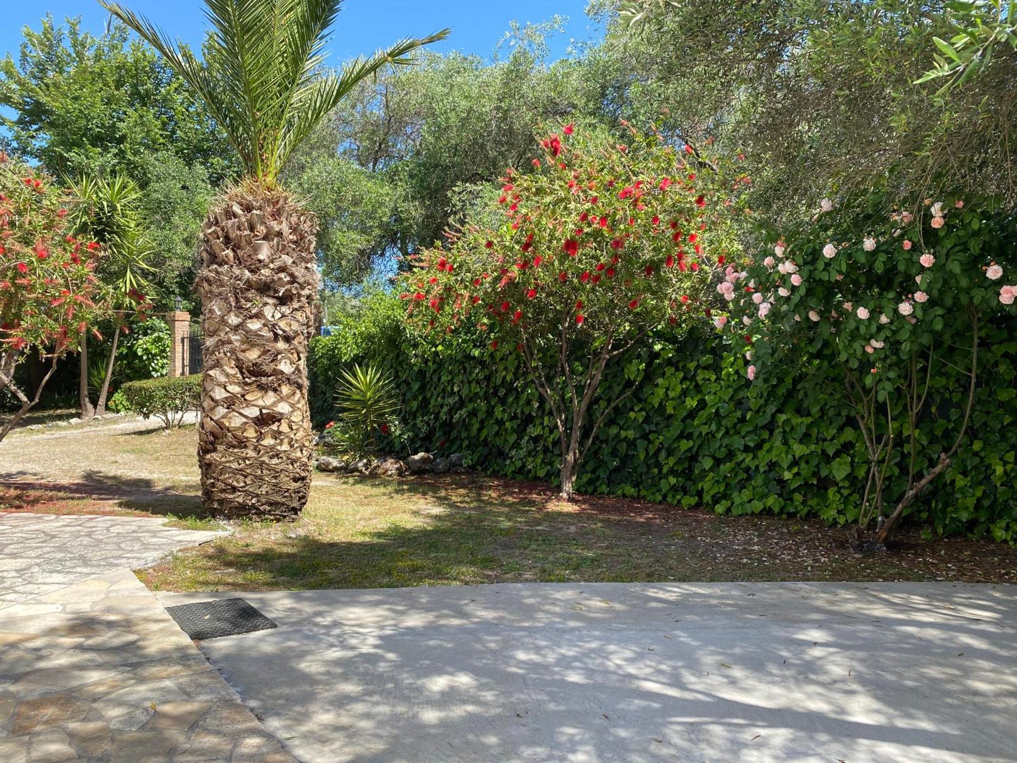 Alexander Apartments Roda  Dış mekan fotoğraf